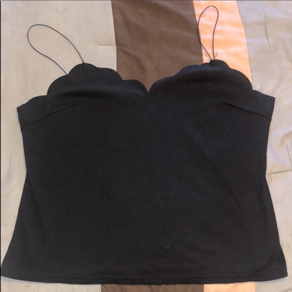 Scallop tank